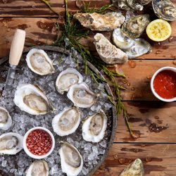 Hank S Seafood Restaurant 564 Photos 761 Reviews 10 Photo Of Hank S Seafood Restaurant Charleston Sc United States Oyster On The