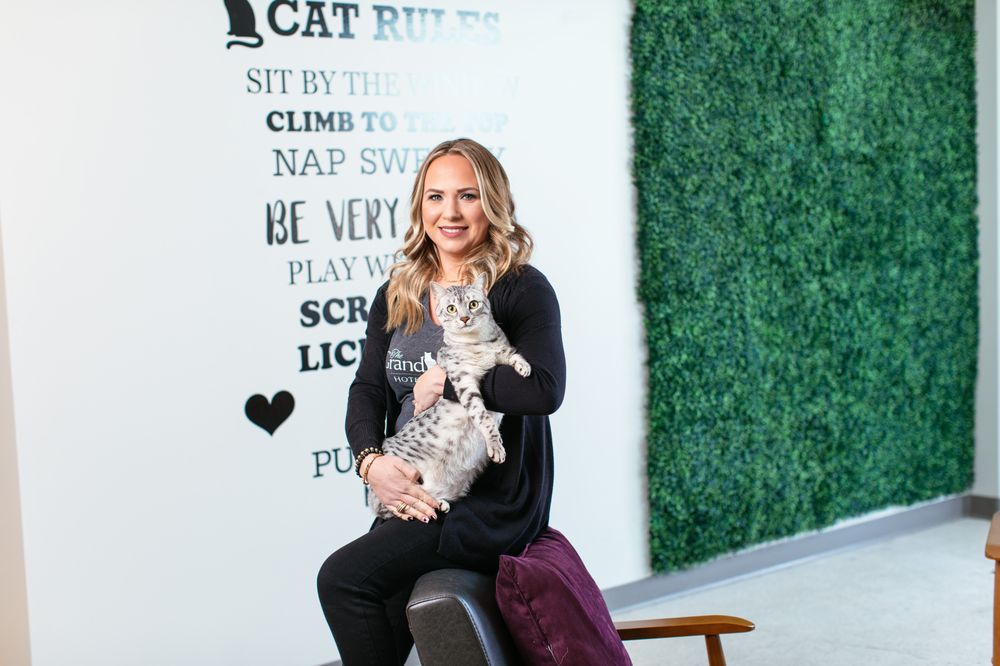 The Grand Feline Hotel & Salon