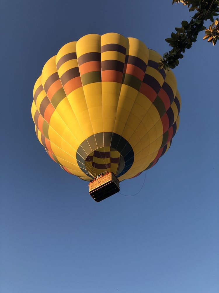 Panorama Balloon Tours