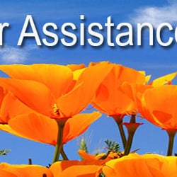 Car Retirement Program Ca >> Consumer Assistance Program Vehicle Retirement 2019 All Car Retirement Program Ca >> Consumer Assistance Program Vehicle Retirement 2019 All