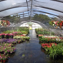The Farm Nursery Landscaping 2200 University Ave Lafayette La Photo Of The Farm Nursery Lafayette La United States
