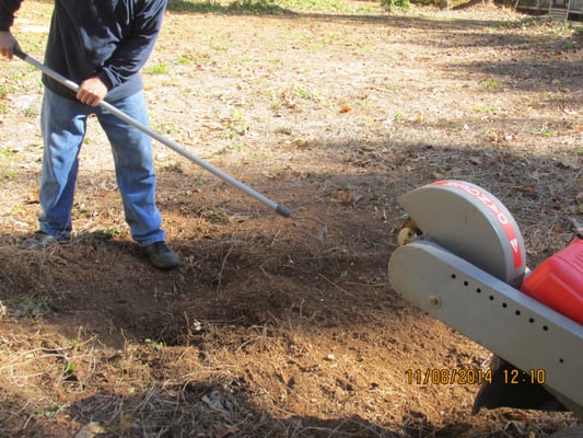 No Limit Landscaping 178 Castleair Dr Ne Kennesaw Ga Reviews
