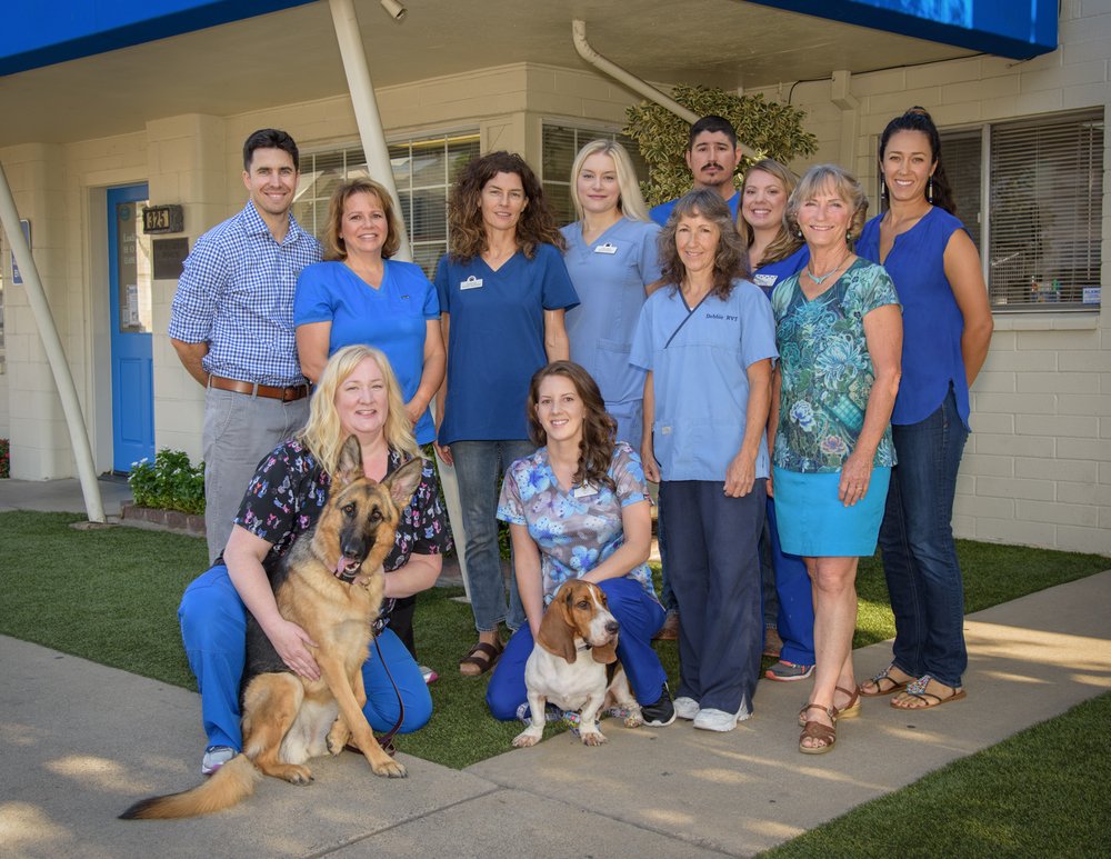 Lodi Veterinary Hospital 24 Reviews Veterinarians 325 W Lockeford