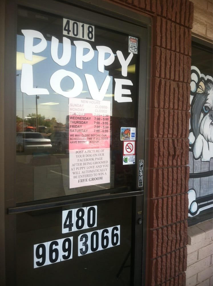grooming mesa az puppy pet grooming pet grooming mesa az united states reviews photos yelp grooming mesa az puppy pet grooming pet grooming mesa az united states reviews photos yelp