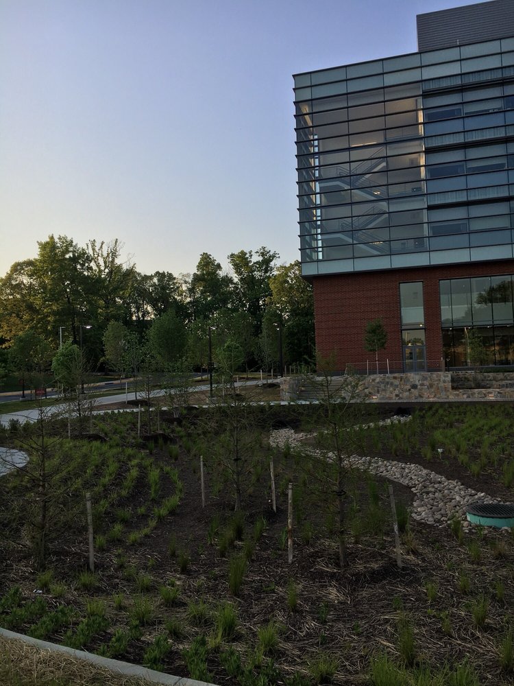 George Mason University