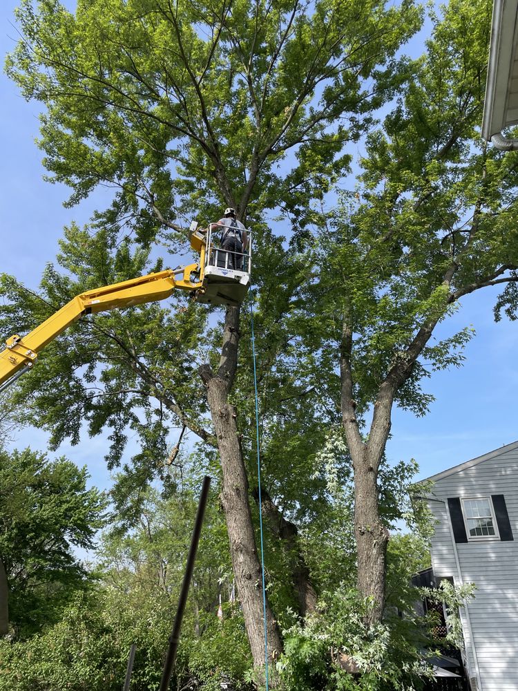 Good's Tree Care