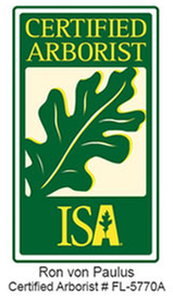 Big Ron's Tree Service