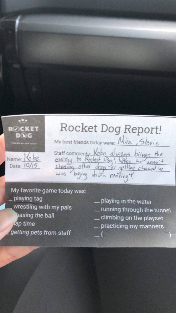 Rocket Dog Care