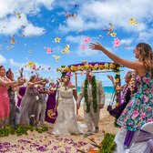 Aloha Island Weddings 105 Photos 36 Reviews Wedding Planning Photo Of Aloha Island Weddings Honolulu Hi United States Beautiful Flower Aisle