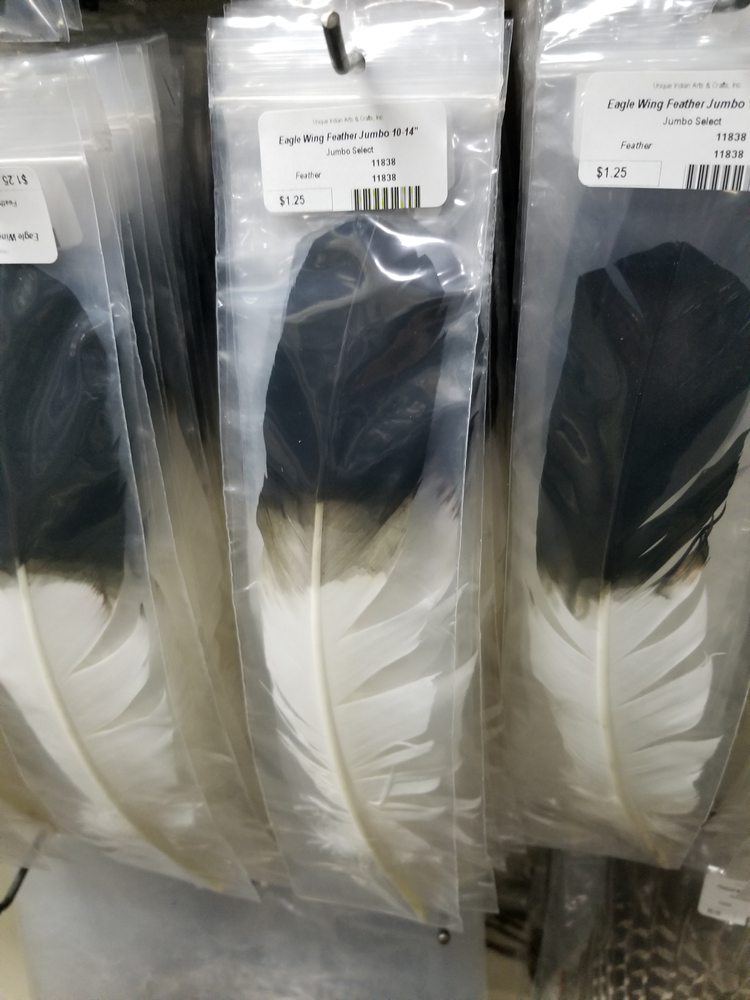 american bald eagle feather