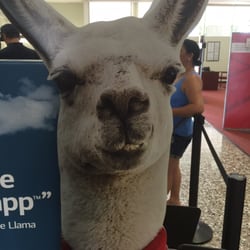 Bank Of America - 28 Reviews - Banks 