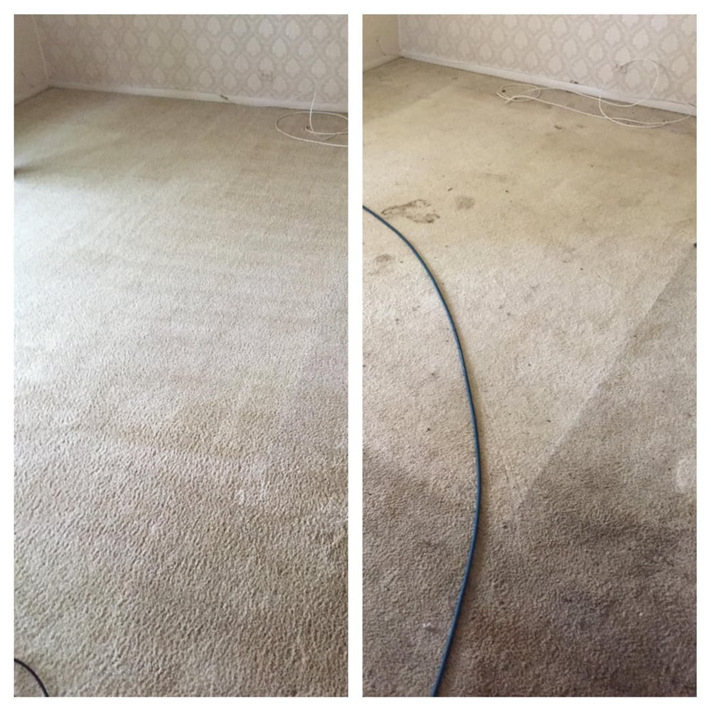 Executive Green Carpet Cleaning Carpet Cleaning 1200 Iroquois Ave