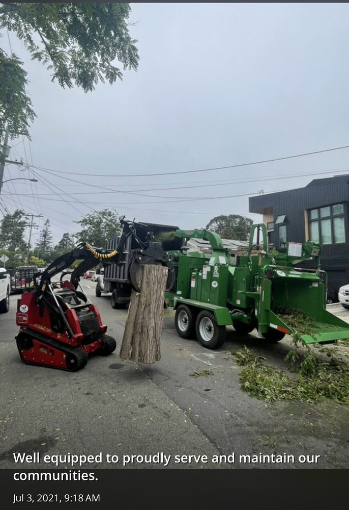 Cal-Line Tree Care - San Mateo
