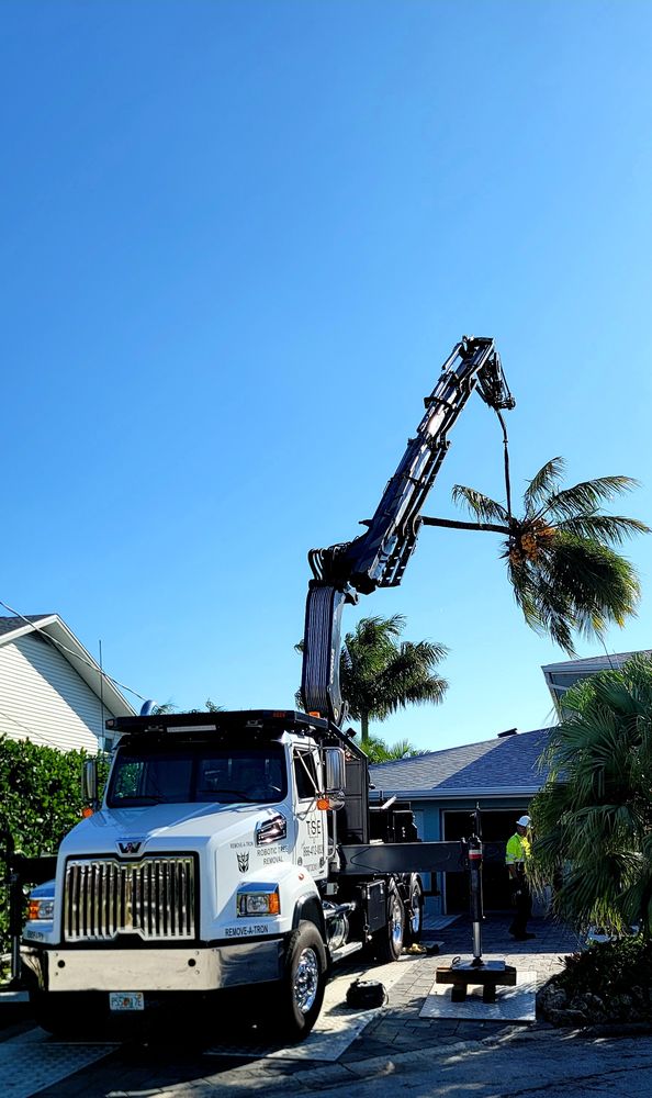Tree Service Express