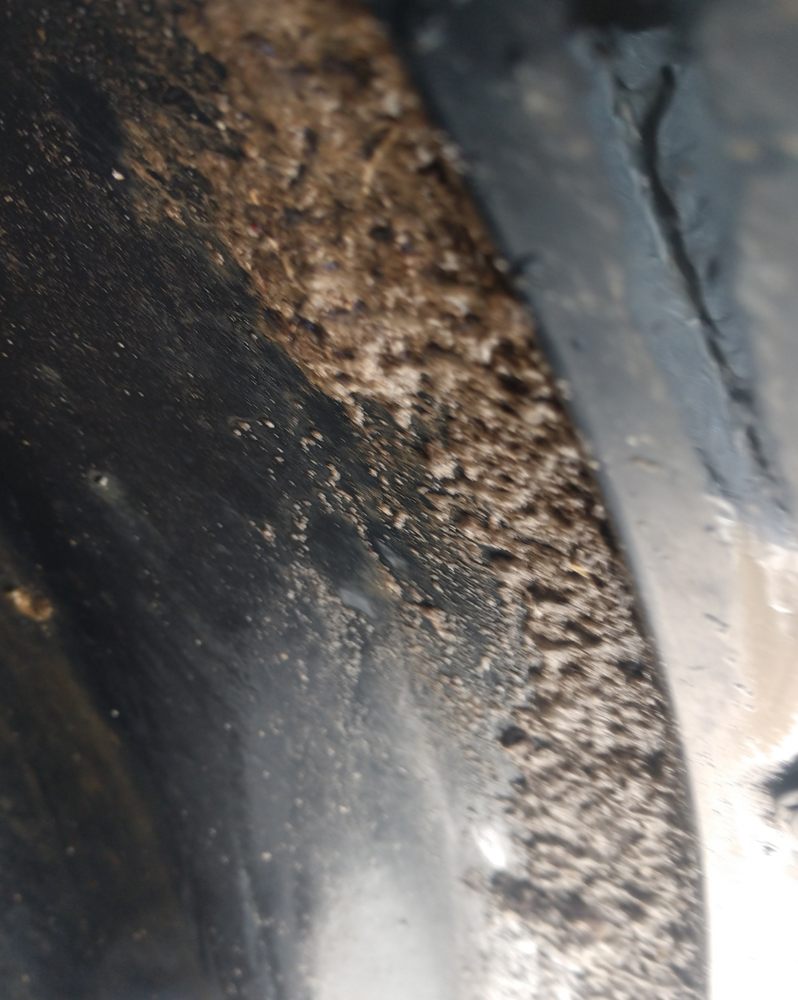 Tidal Wave Auto Spa - Elizabeth City