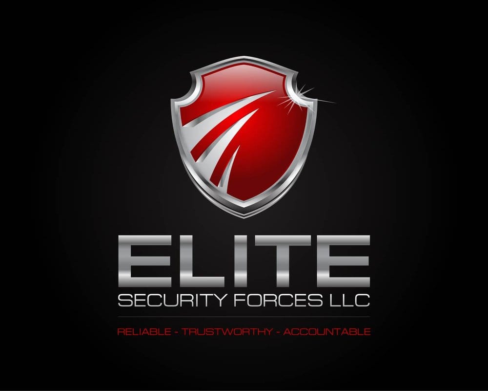Elite Security Forces LLC Security Systems 1880 Silas Deane Hwy