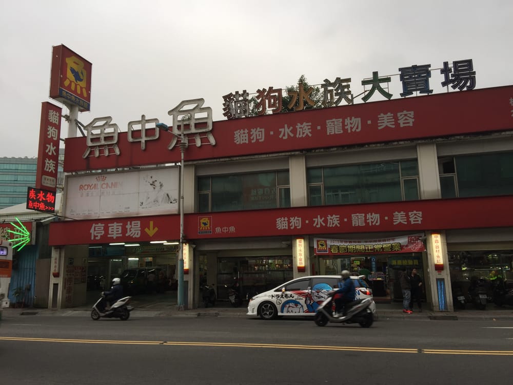 魚中魚水族館gift Card 板橋區 Tpq Giftly 魚中魚水族館gift Card 板橋區 Tpq Giftly