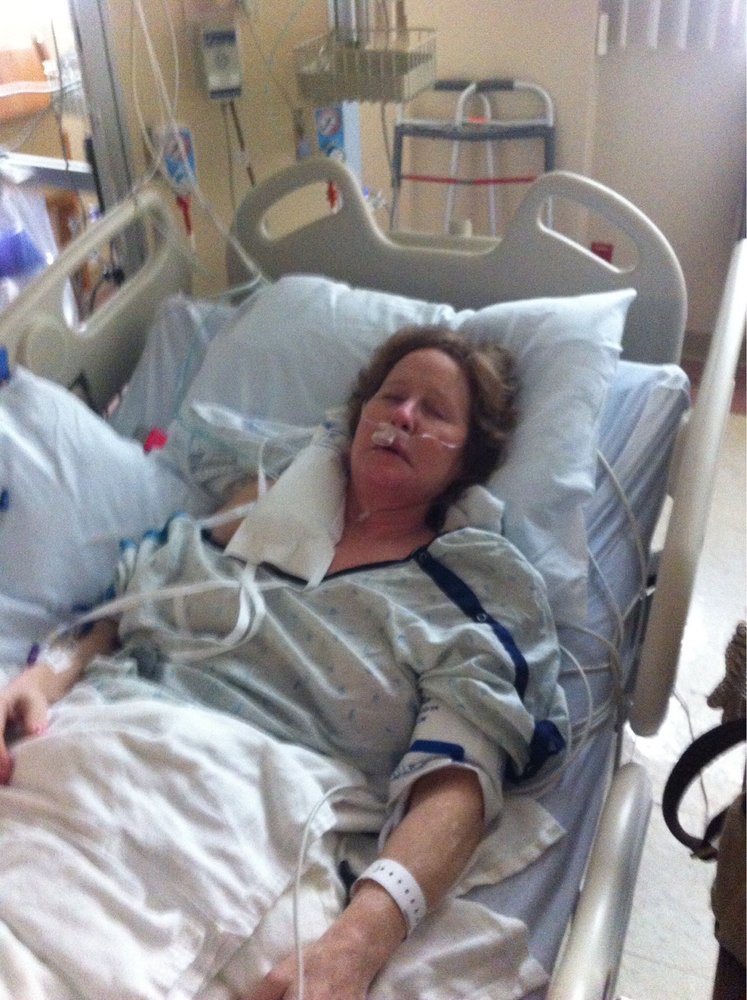 image of business Bash Dental