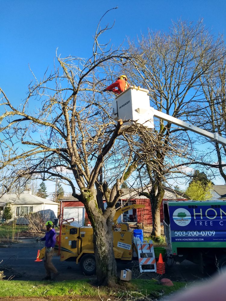 Honl Tree Care