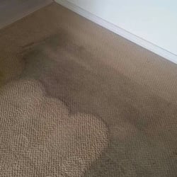 Carpet Burlington Wa Ideas Carpet Burlington Wa Ideas