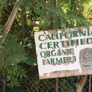 Exotica Rare Fruit Nursery 191 Photos 69 Reviews Nurseries Photo Of Exotica Rare Fruit Nursery Vista Ca United States