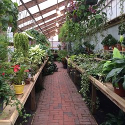 Morrison’s Home and Garden - 10 Photos - Nurseries & Gardening - 90