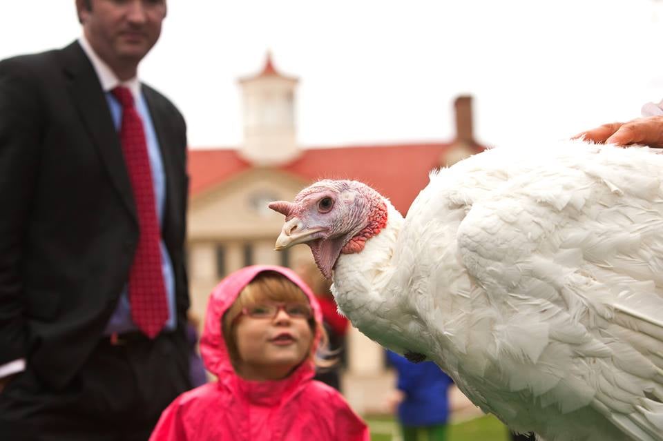 George Washington's Mount Vernon