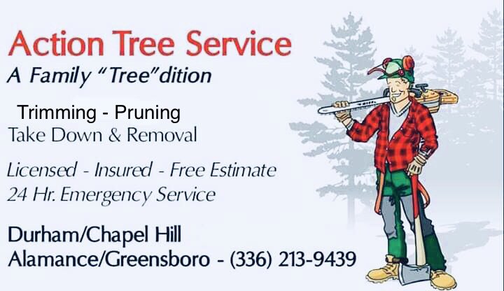 Action Tree Service