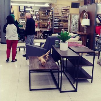 Cost Plus World Market 199 Photos 27 Reviews Furniture S Photo Of Cost Plus World Market West Hartford Ct United States