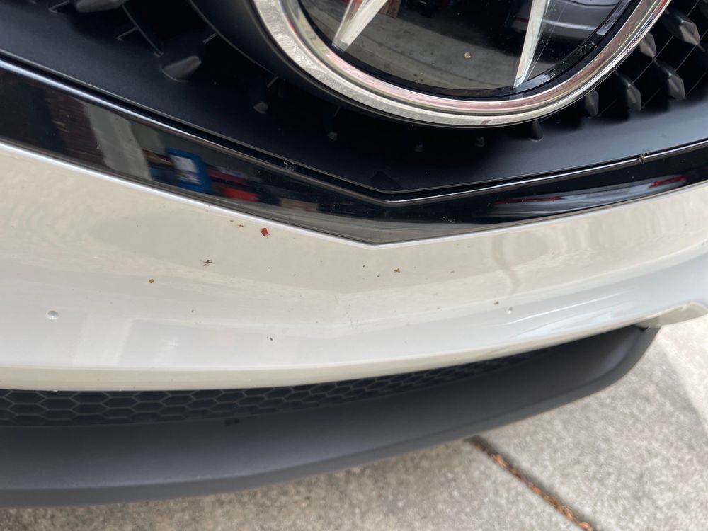 Tommy's Express® Car Wash