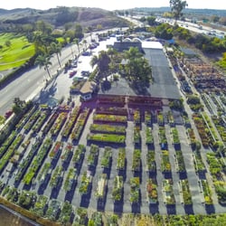 Plant Depot 155 Photos 160 Reviews Nurseries Gardening Photo Of Plant Depot San Juan Capistrano Ca United States Bird S Eye