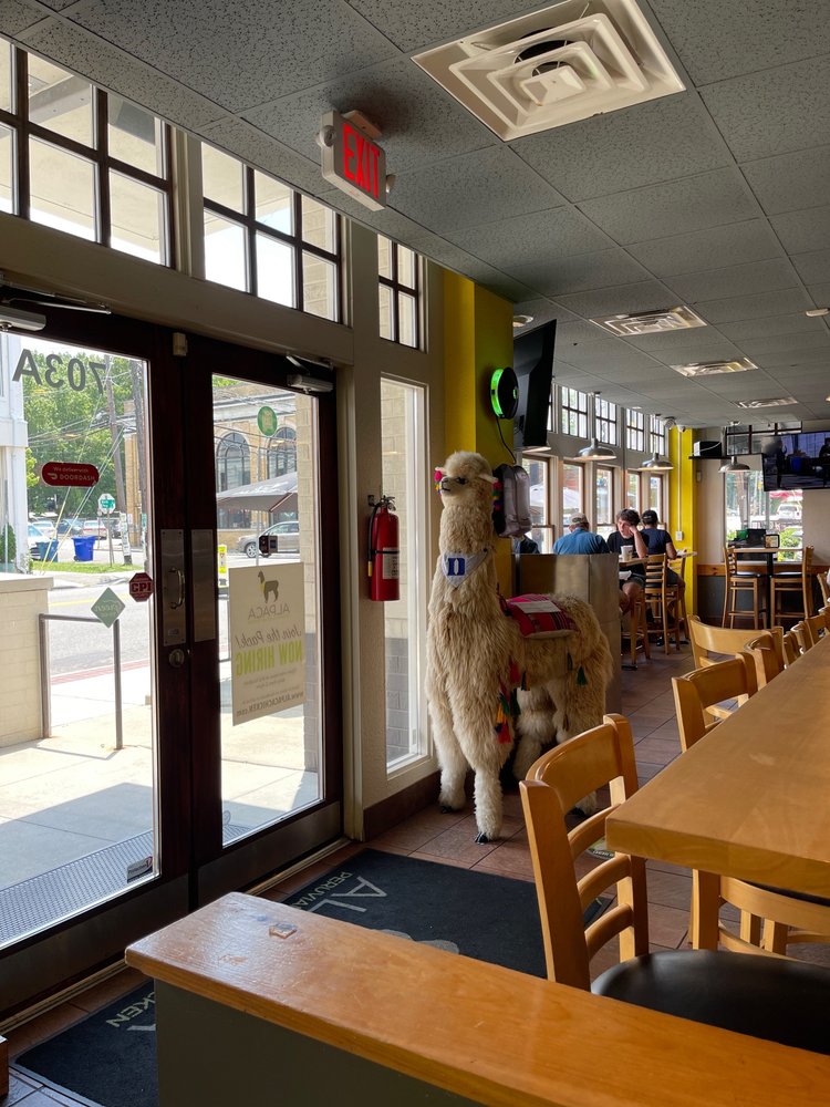 Alpaca Peruvian Charcoal Chicken