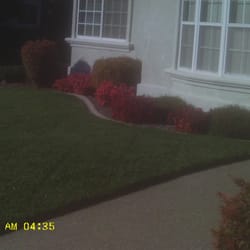 budget lawn