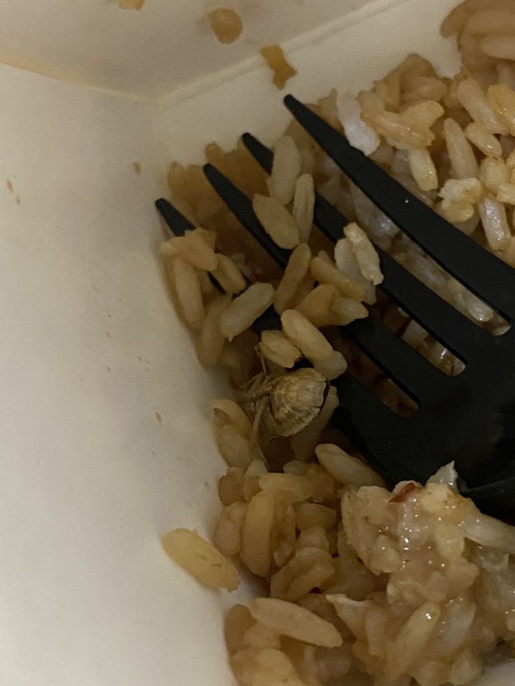 Wok Express Wok Express