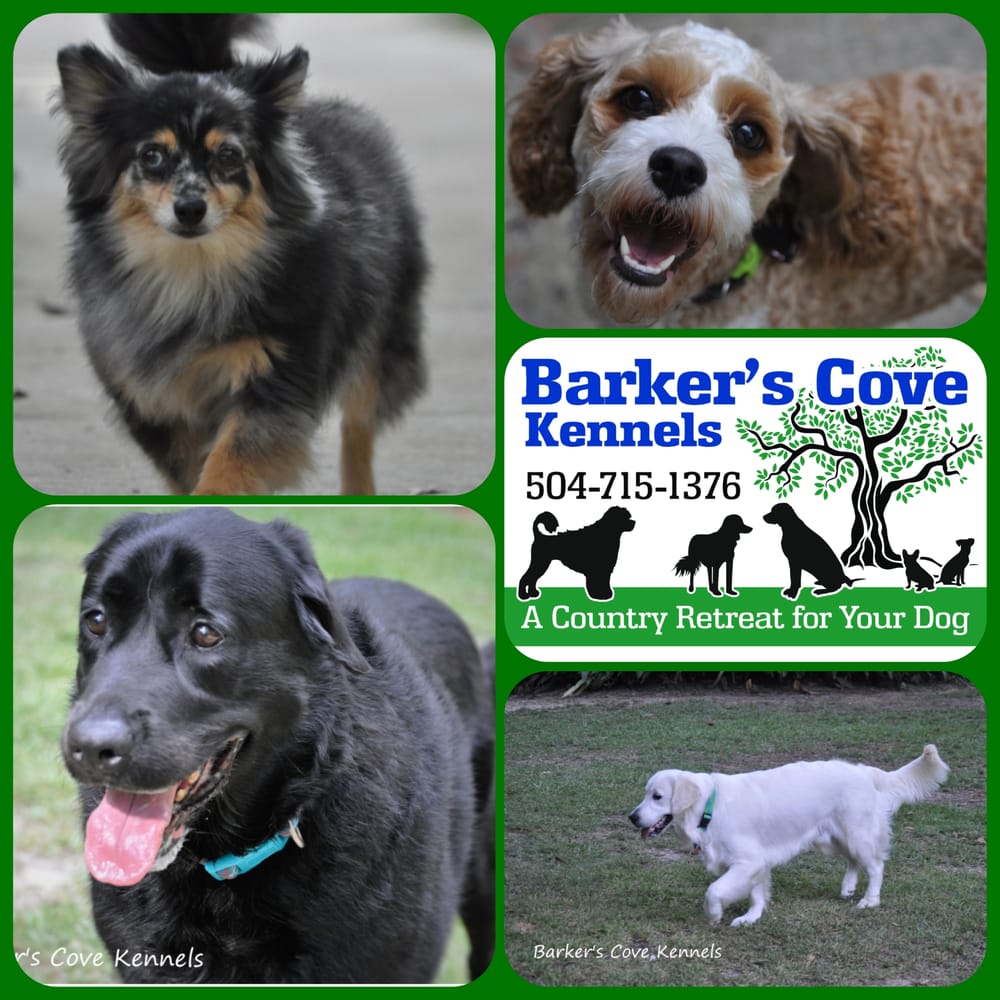 Barker’s Cove Kennels Pet Boarding 1 Barkers Cv, Picayune, MS
