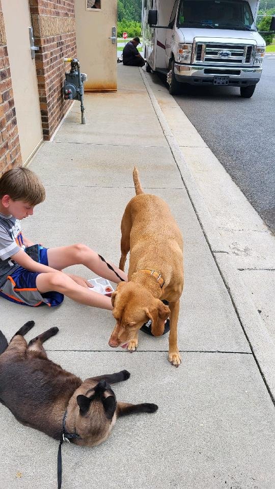 NTB-National Tire & Battery