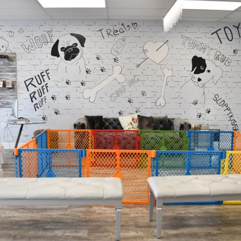 forever love puppies reviews