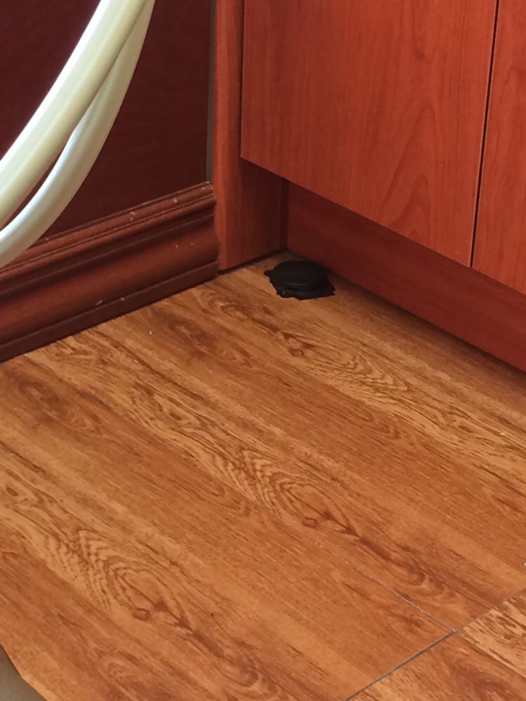 image of business Willis Dental Care