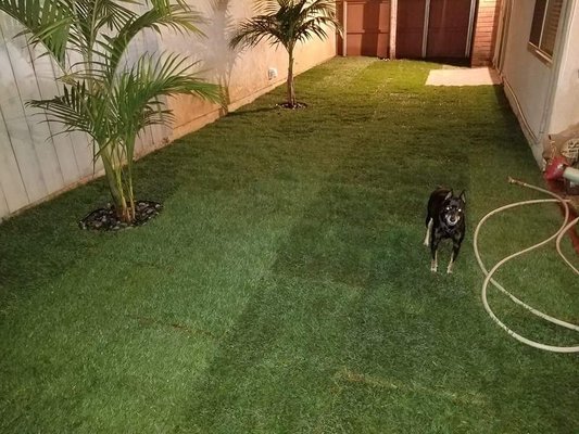 West Coast Turf 1365 Descanso Ave San Marcos Ca Landscaping Mapquest