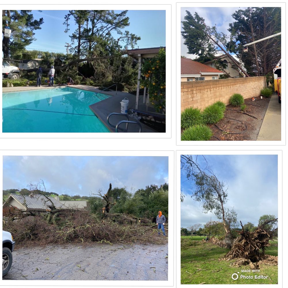 Valley Tree Care
