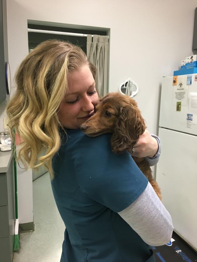 Animal Medical Centers of Loudoun