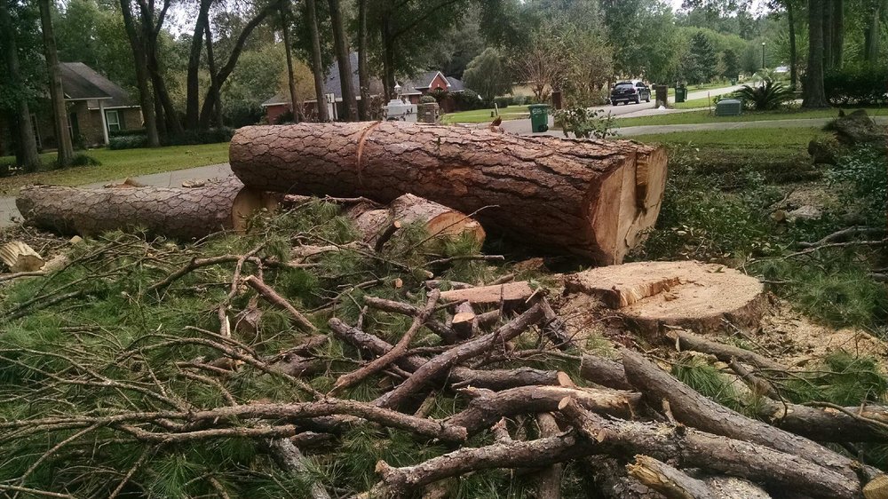 Lonnie & Jimmy's Tree Removal & Sod Installation