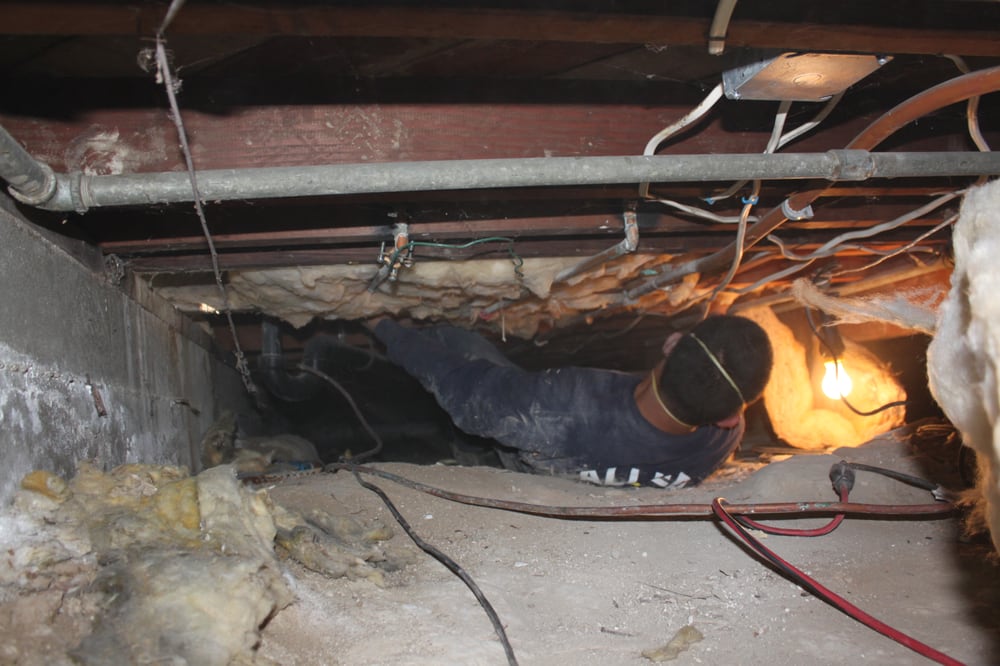 Allied Insulation