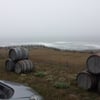 Pacific Star Winery winery