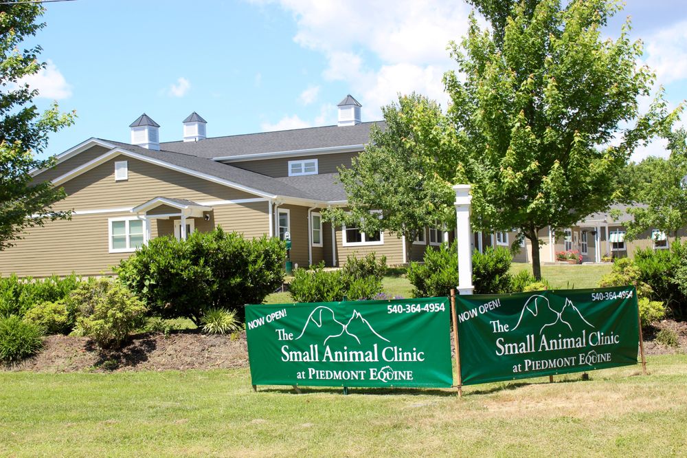 The Small Animal Clinic At Piedmont Equine