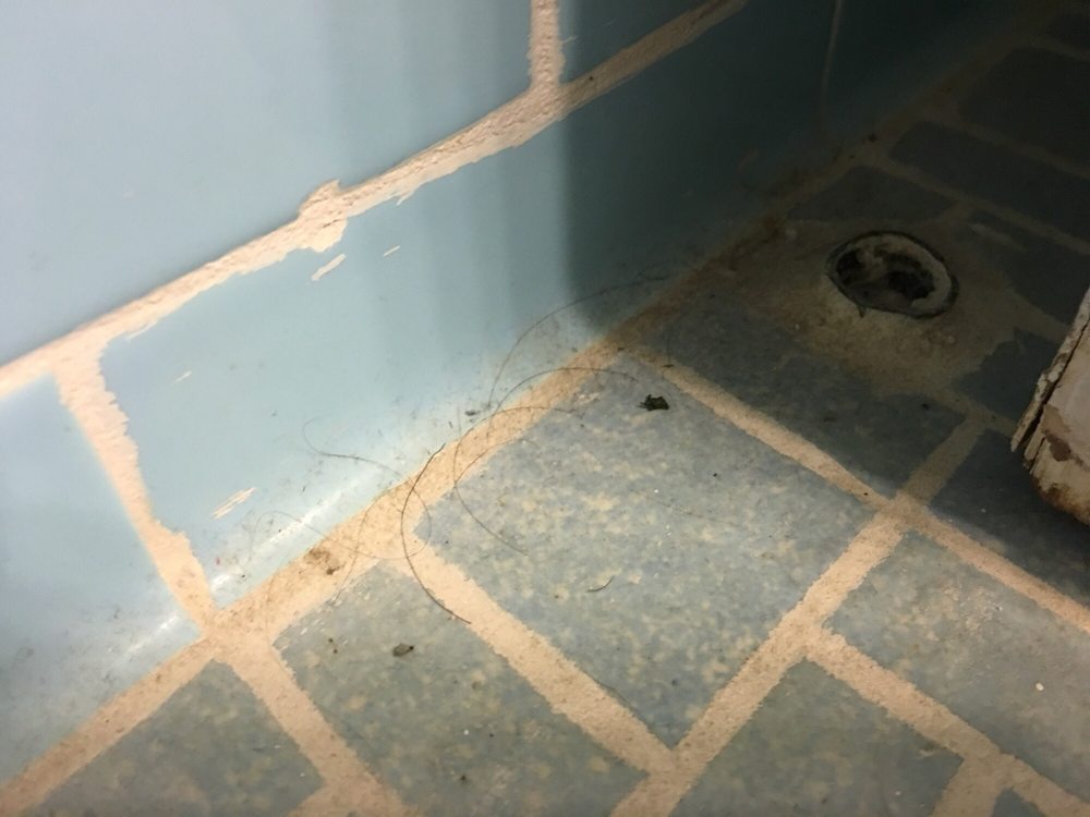 More Hair On The Bathroom Floor Yelp Photo Of Spartan Motel Rochester Mi United States More Hair On The