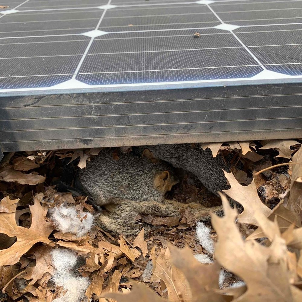 Solar Service