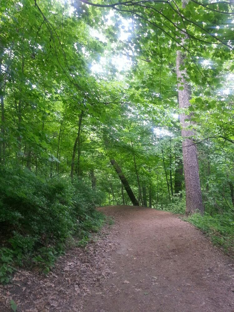 Frick Park 52 Photos Dog Parks Squirrel Hill Pittsburgh, PA