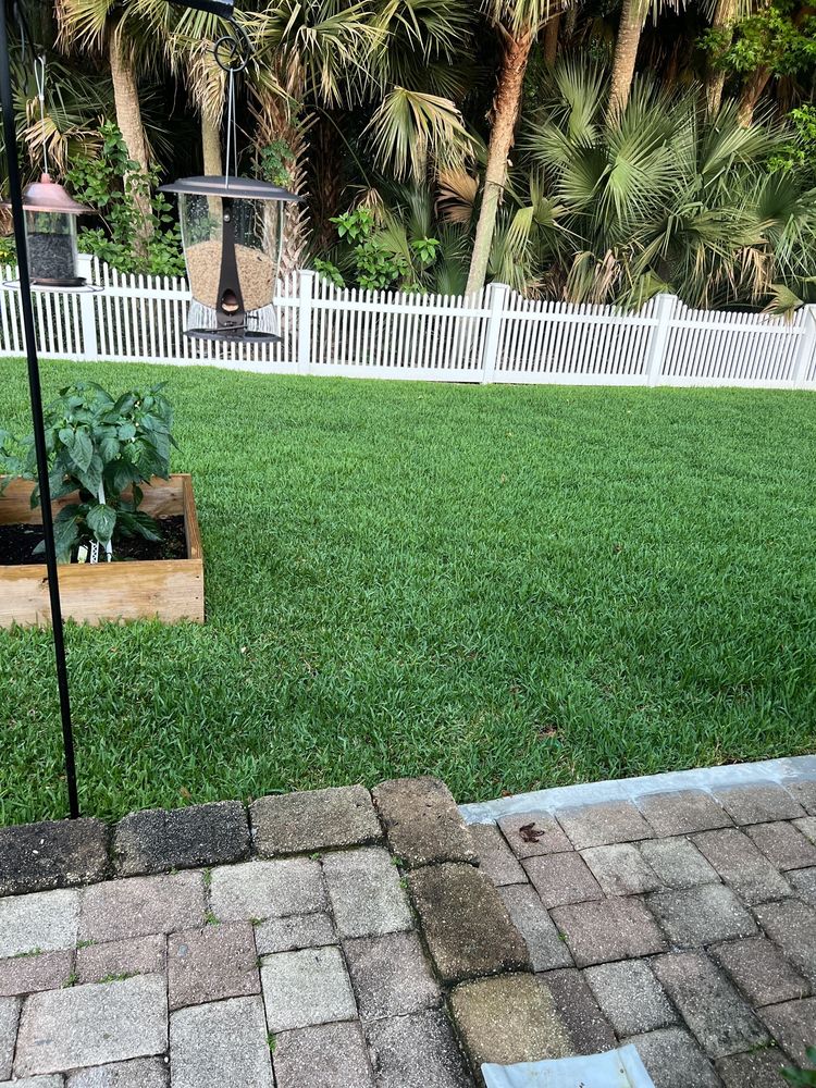 Sod Express Nursery 