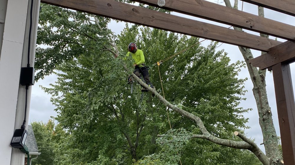 Monster Tree Service of Middle Tennessee